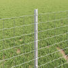 Miniatuurafbeelding van het product 4 van 7