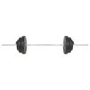 vidaXL Halter met gewichten 60 kg