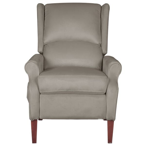 vidaXL Leunstoel fluweel lichtgrijs