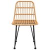 vidaXL Tuinstoelen 2 st 48x62 84 cm PE-rattan