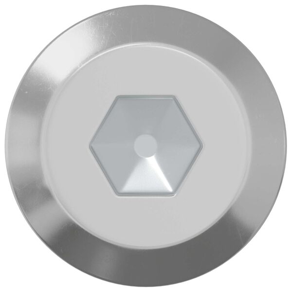 vidaXL Bout 1000 pcs Zilver M6 x 100 mm Staal