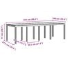 vidaXL Tuin Eettafel Antraciet 250 x 100 x 73 cm poly rattan