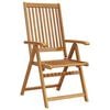 vidaXL Inklapbare stoelen 2 st massief acaciahout