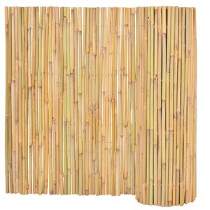 vidaXL Scherm 300x100 cm bamboe