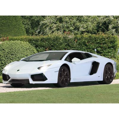 JAMARA Supercar Lamborghini Aventador radiografisch 1:14 wit