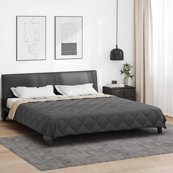 vidaXL Vol jaar dekbed Antraciet en Taupe 220 x 200 cm Microfiber