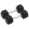 vidaXL Halters 2 st 5 kg totaal gietijzer