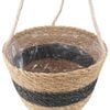 Miniatuurafbeelding van het product 5 van 7