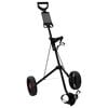 vidaXL Golf trolley Zwart IJzer Opvouwbaar