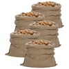 vidaXL Jutezakken 5 stuks 340 g/m&sup2; 100x110 cm 100% jute