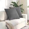 vidaXL Sofa Kussens 2 stuks Donkergrijs 80 x 80 cm Stof