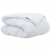 vidaXL Winter Dekbed 220 x 140 x 5 cm Winter Polyester Wit Ademend