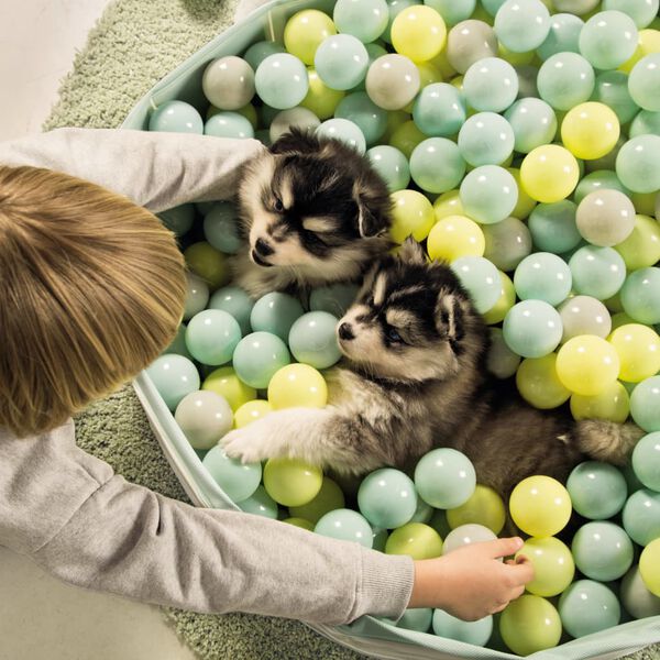 Beeztees Puppy ballenbad FUNCHIE