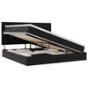 vidaXL Opslag bed met hoofdeinde Zwart 200 x 200 cm Nep Leer