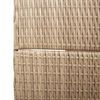 vidaXL Kamerverdeler Beige 195 x 180 cm poly rattan
