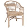 vidaXL Stapelstoel Rattan Naturel 60 x 60 x 81 cm