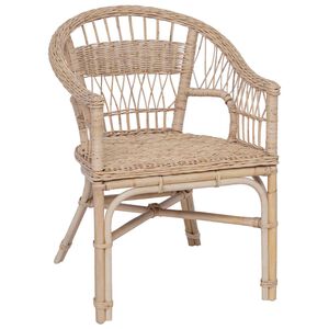 vidaXL Stapelstoel Rattan Naturel 60 x 60 x 81 cm