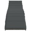 vidaXL Ligbedden 2 st met tafel poly rattan grijs