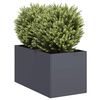 Miniatuurafbeelding van het product 2 van 9