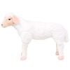 Miniatuurafbeelding van het product 2 van 5