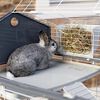 Miniatuurafbeelding van het product 14 van 20