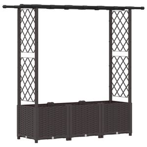 vidaXL Verhoogd Bed met Trellis en Dak Bruin 162,5 x 40 x 136 cm PP