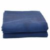 vidaXL Tenttapijt Blauw 400 &times; 350 cm Polyester