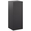 vidaXL Plantenstandaard Zwart 40 x 40 x 100 cm Staal