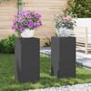 vidaXL Plantenstandaard 2 pcs Zwart 24 x 24 x 55 cm Staal