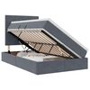 vidaXL LED Opslagbed met Matras Donkergrijs 120 x 190 cm Fluweel