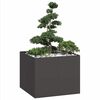 Miniatuurafbeelding van het product 2 van 9