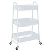 vidaXL Opbergtrolley 3-laags 42x41,5x77 cm staal wit