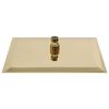 vidaXL Regendouchekop rechthoekig 30x20 cm roestvrij staal goudkleurig