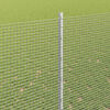 Miniatuurafbeelding van het product 4 van 14