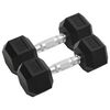 vidaXL Halters 2 st 8 kg totaal gietijzer