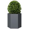 Miniatuurafbeelding van het product 3 van 10