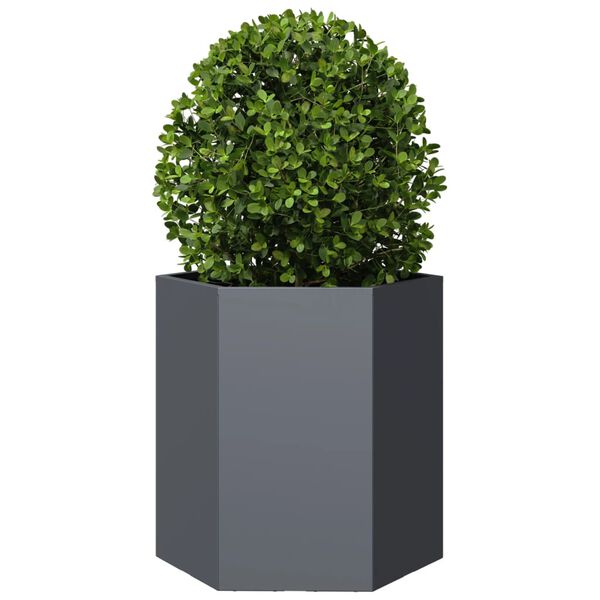 Productafbeelding 3 van 10