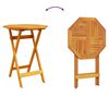 vidaXL Vouw Bistro Set 3 pcs Bruin Massief acaciahout
