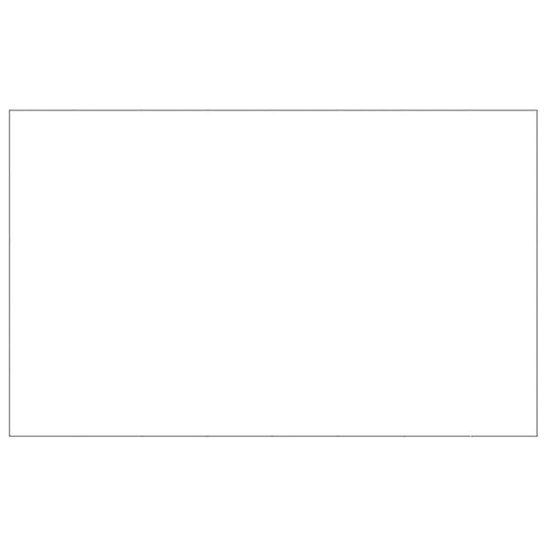 vidaXL Hondenkennel 40 m&sup2; staal zilverkleurig