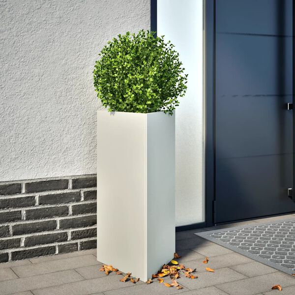 Productafbeelding 2 van 12