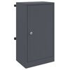vidaXL Brievenbus met opslag met slot Antraciet 30 x 20 x 55 cm Staal