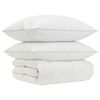 vidaXL 90% ganzen dons dekbedset FULDA 3 st 240 x 260 cm Winter Wit