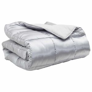 vidaXL Winter Dekbed Zilver 220 x 200 cm Satijn en Microfiber