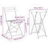 vidaXL Vouw Bistro Set 3 pcs Bossen Staal
