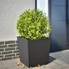 Miniatuurafbeelding van het product 2 van 10