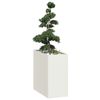 Miniatuurafbeelding van het product 2 van 9