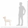 Miniatuurafbeelding van het product 4 van 5