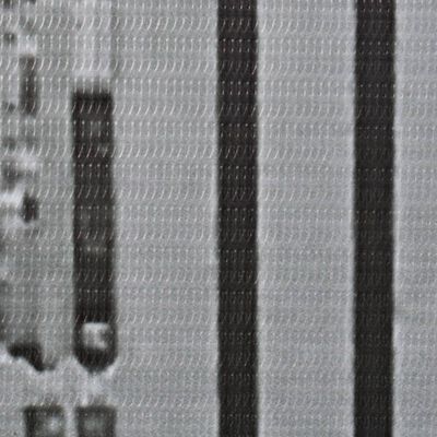 vidaXL Kamerscherm New York bij daglicht 228x170 cm zwart en wit