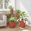 Miniatuurafbeelding van het product 4 van 9