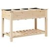 vidaXL Plantenbak Beige 115 x 59 x 76,5 cm Massief Vurenhout